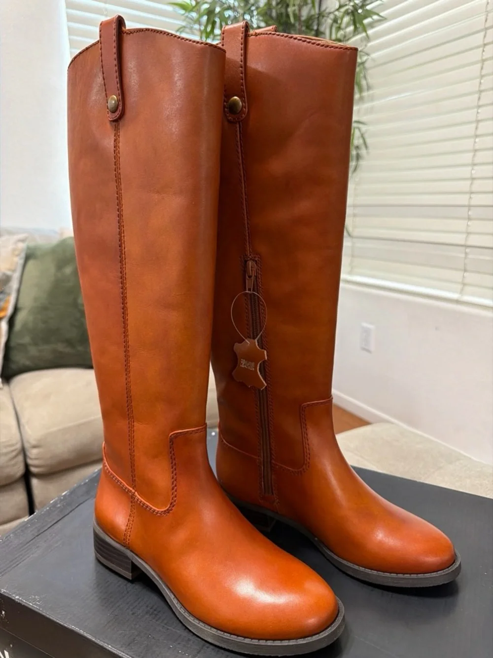 Style & Co. Tall Over-the-Knee Boots in Cognac